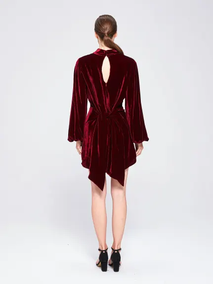 THE 28TH ROSE - Wanda Velvet Mini Dress