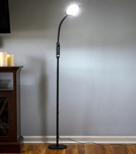 Litespan Led 2-in-1 Gooseneck Floor And Desk Lamp Combo With Adjustable Head