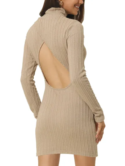 Seta T- Mock Neck Backless Long Sleeve Cable Knit Cut Out Bodycon Mini Dress