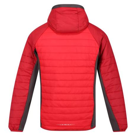 Regatta - - Veste softshell TRUTTON - Homme