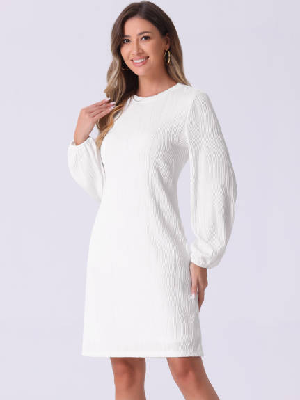 Allegra K - Elegant Puff Sleeve Textured Dress