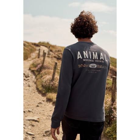 Animal - - T-shirt TOMMY - Homme