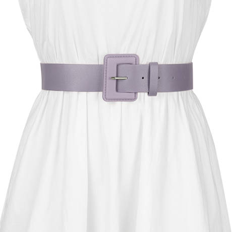 Allegra K- Rectangle Buckle Dress Waist Belt