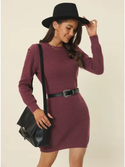 Allegra K- Round Neck Long Sleeve Slim Fit Mini Sweater Dress