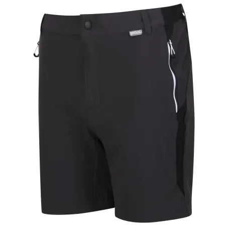 Regatta - Mens Mountain II Shorts