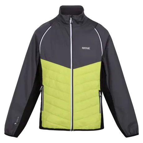 Regatta - - Veste softshell STEREN HYBRID - Homme