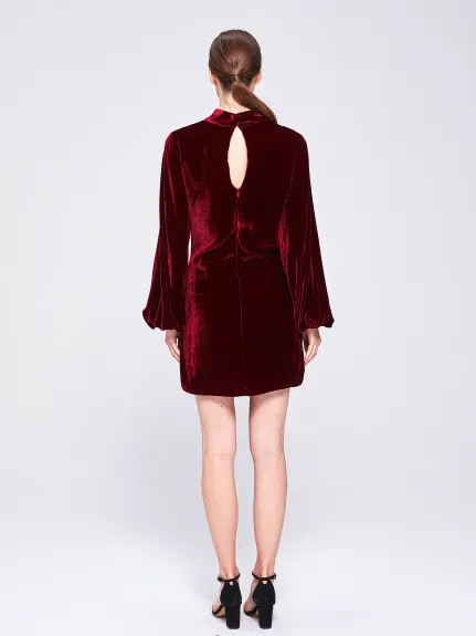 THE 28TH ROSE - Wanda Velvet Mini Dress