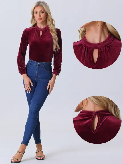 Allegra K - Stand Collar Long Sleeve Velvet Top