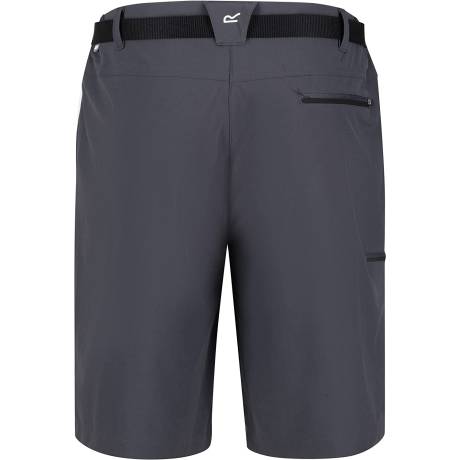 Regatta - - Short XERT - Homme