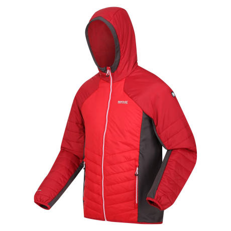 Regatta - - Veste softshell TRUTTON - Homme