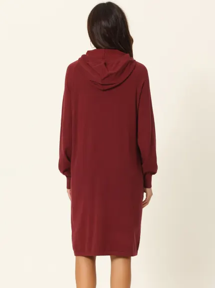 Seta T- Pullover Sweatshirt Long Sleeve Hoodie Dress