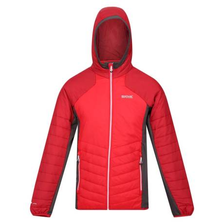 Regatta - - Veste softshell TRUTTON - Homme