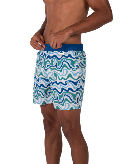 Coast Clothing Co. - Short de bain Palm Springs