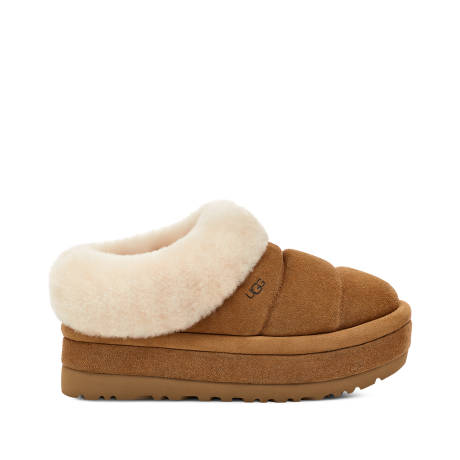 UGG Tazzlita