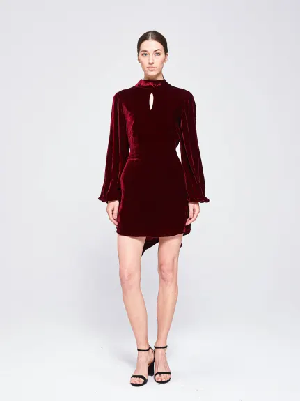 THE 28TH ROSE - Wanda Velvet Mini Dress